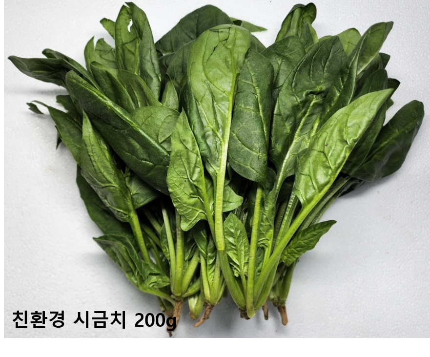 이미지3